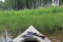 Kayaking through a local slough.