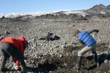 excavate trench 3