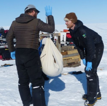 Weighing the wolverine