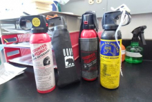 Bear spray