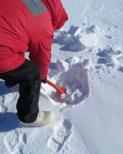 Dr. Xie shoveling