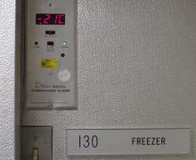 Freezer Temp