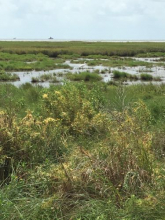 View of the refuge