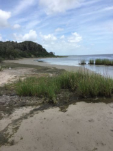 Views at Aransas