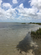 Another view of Aransas