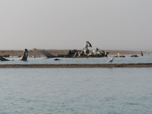 A bone pile in the sea.