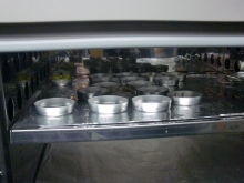 Samples are dessicated in the drying oven.