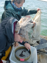 She washes through the screen and he washes out the trawl net.