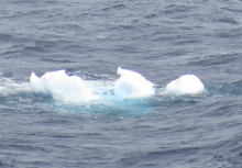 A growler, a car sized ice chunk