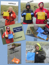 From the United States to Australia, the flags invaded Bird Island.