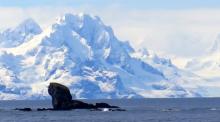 South Georgia in the Southern Ocean