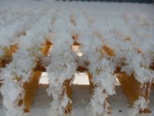 View of frost on yellow grate