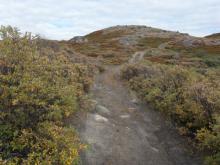 Technical climb up to the top of the ridge.