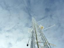 Looking up at the Swiss Tower