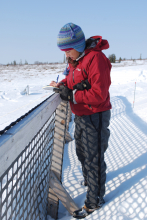 Dr. Natali taking snow measurments