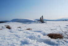 snow fence on site B