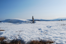 Snow fence mound