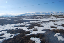 Looking toward Healy Ridge