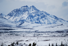 Snow covered peaks