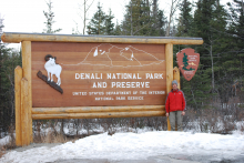 Denali National Park