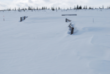 Snow fence at the winter warming experiment