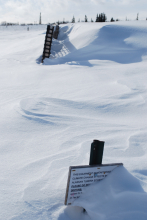 Snow fence at work