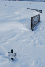 The snow fence at work