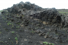 The rock formation where the dinosaur footprints are located