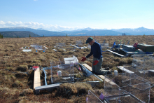 Mr. Wood on the tundra in late May 2011