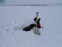 Digging in the snow for science