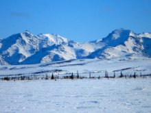 Mt. Healy