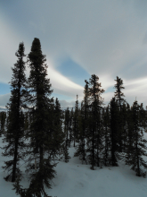 cloudy and windy day on the tundra