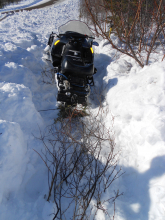 Laying branches for traction.