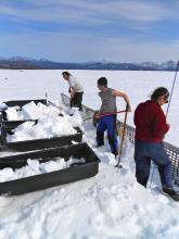 digging snow