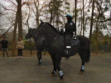 Police on horses