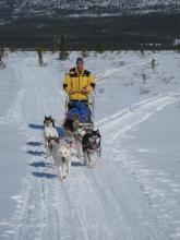 Mr. Wood on the dog sled