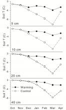 Winter warming soil temperatures.