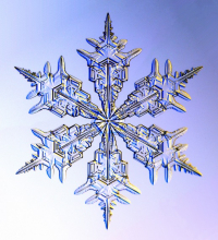 A singel snow crystal