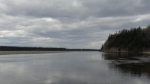 Tanana River