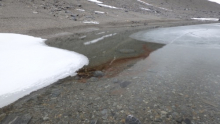 Microorganism Bloom in Lake Hoare