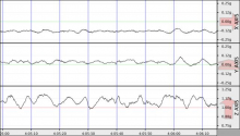 Acceleration measurements on the Palmer