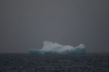 Iceberg