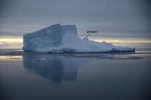 Penguins on top of a large berg