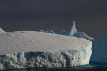 Iceberg with a penguin