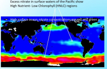 Map of High nutrients - Low chlorophyll areas