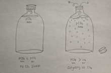 Diagram for partial pressure