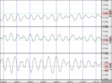 Acceleration measurements on the Palmer