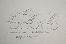 Diagram of the Langmuir circulation