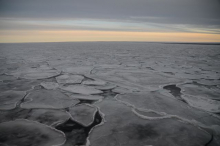 Field of pancake ice