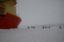 Palmer and gang on the ice